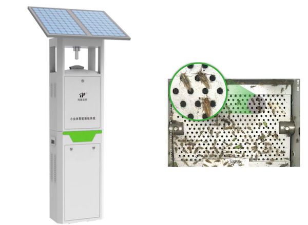 托普云農小蟲體智能測報系統：彌補蟲類測報短板 推動害蟲綠色防控