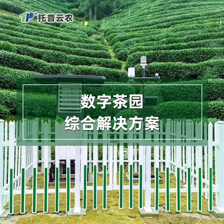 數字茶園綜合解決方案